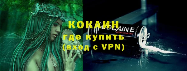 бошки Мегион