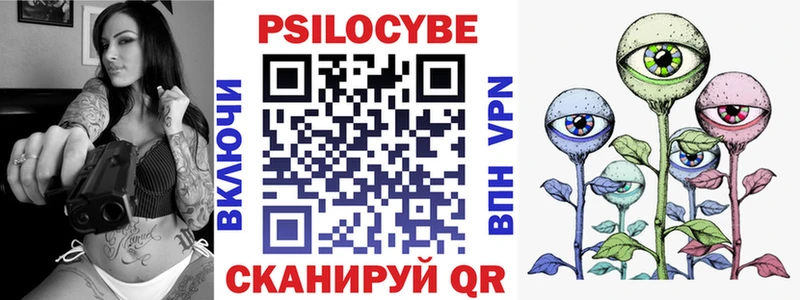 где найти Щучье гидра маркетплейс Псилоцибиновые грибы GOLDEN TEACHER
